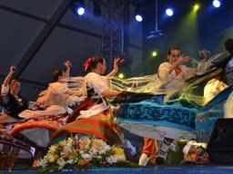 Festival de Folkore en Mula